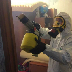 Уничтожение клопов в квартире. Ковдор